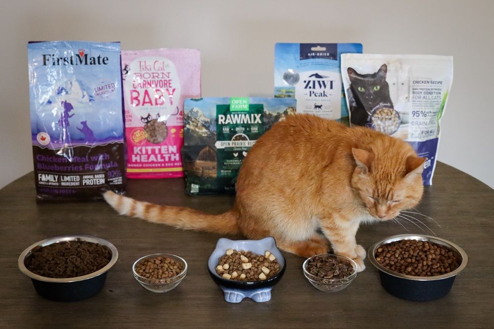10 Best Dry Cat Foods 2025 Approach Taste Test