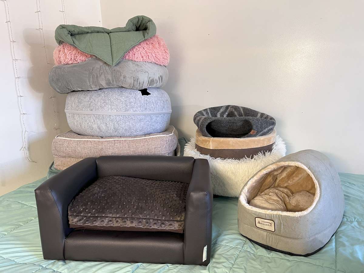 13 Best Cat Beds