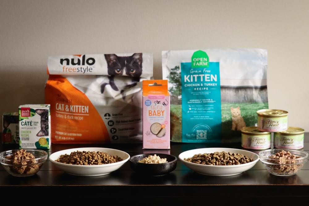 9 Best Kitten Foods 2025 Approach Taste Test