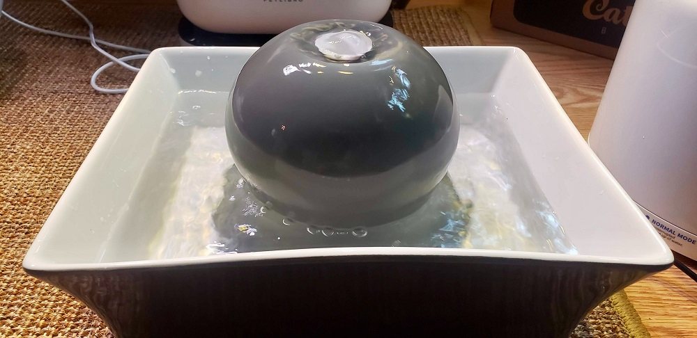 a iPettie Tritone Pet Drinking Fountain