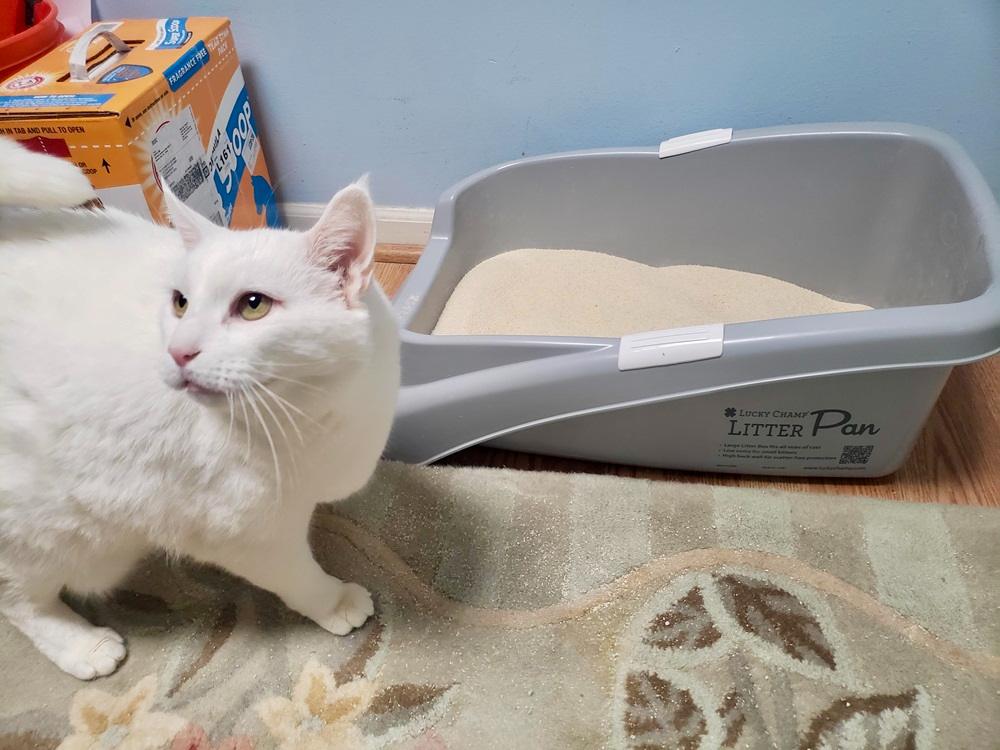 Almo Nature cat litter