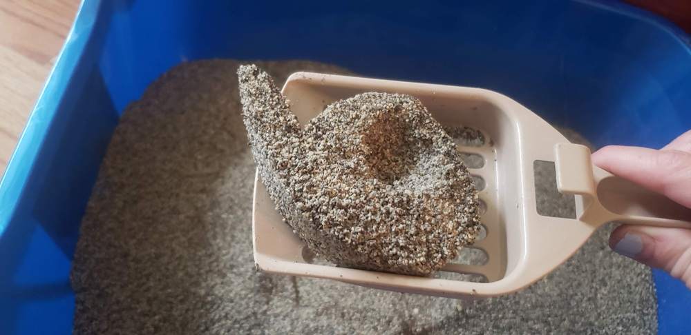 Arm & Hammer Clump & Seal Slide Litter