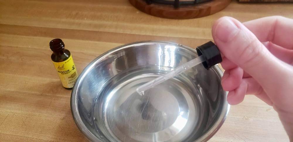 Bach Rescue Remedy Pet Supplement