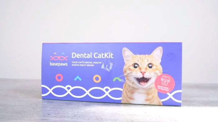 Basepaws Cat Dental Health Test Review: We Tried It