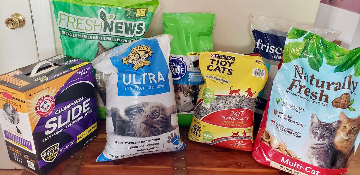 Best Affordable Cat Litters