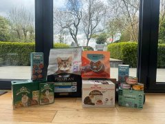Best Cat Food for Senior Cats in the UK