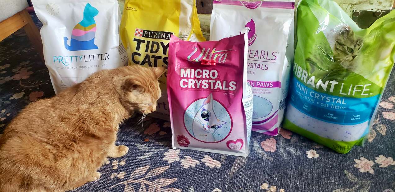 best cat litter products