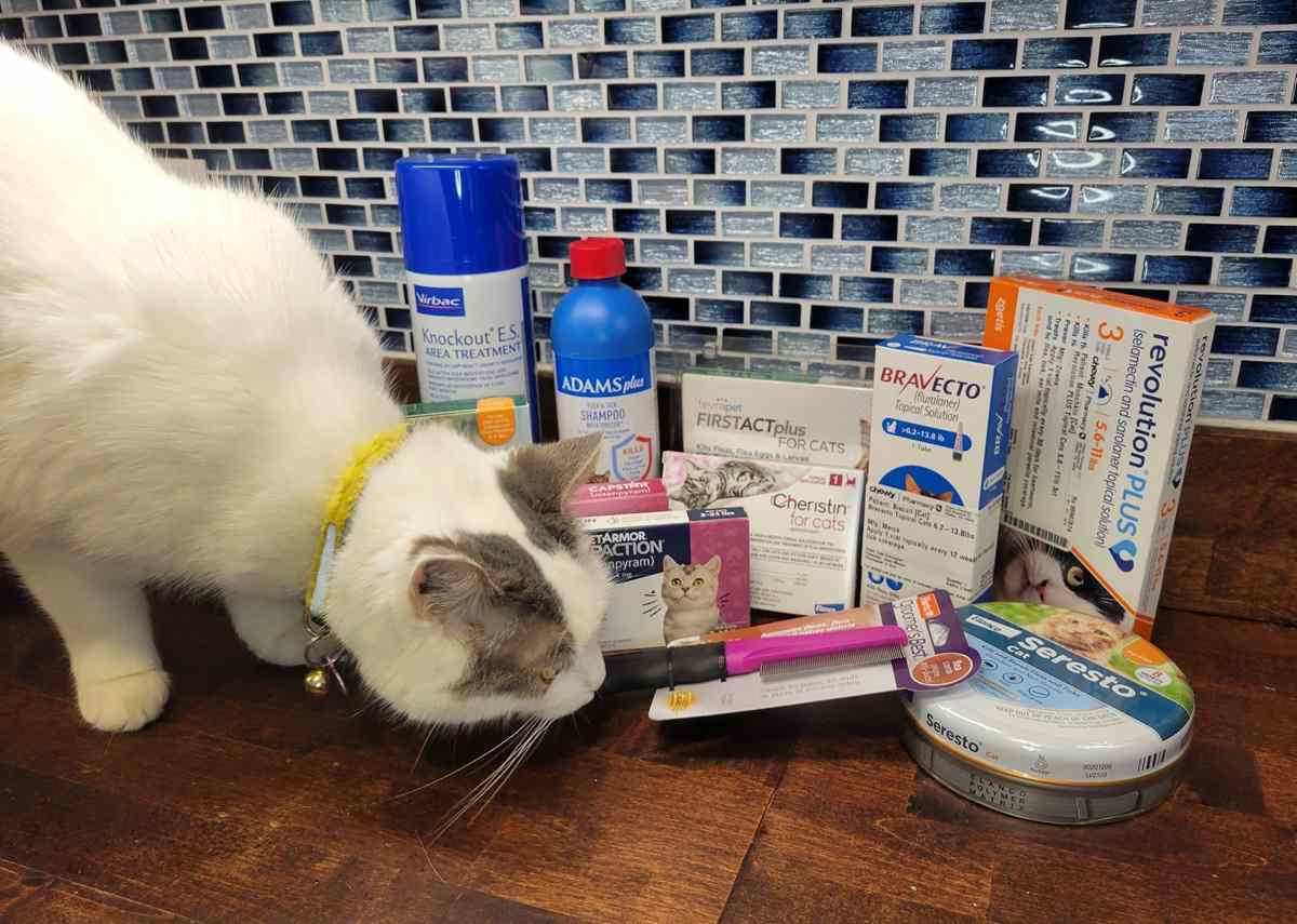 Best Flea Treatments for Cats