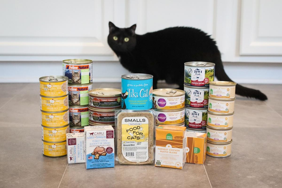Best Wet Canned Cat Food 2025 Review Roundup
