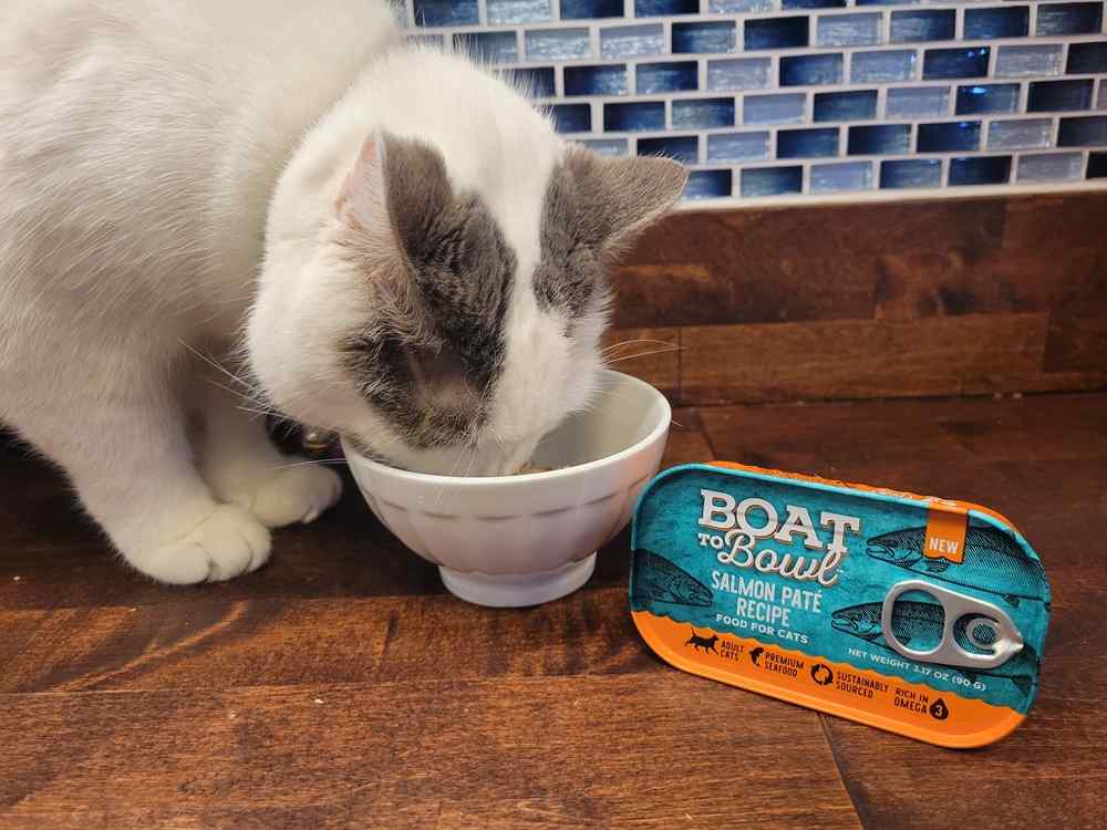 Boat to Bowl Salmon Paté Recipe Wet Cat Food