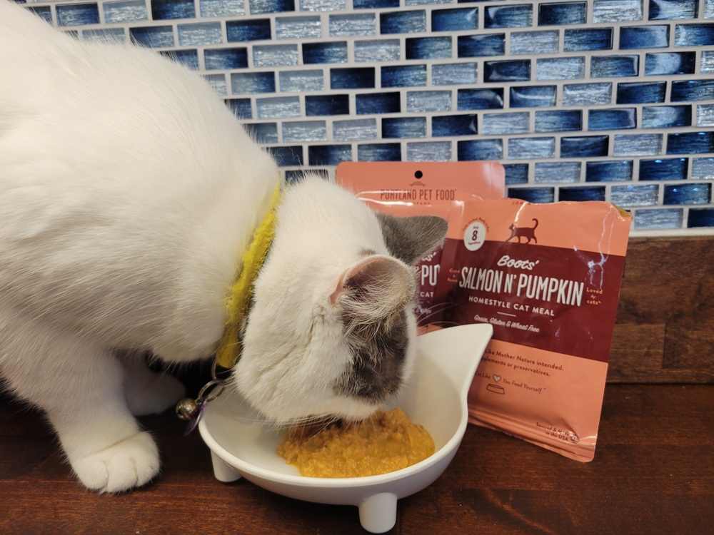 Boots’ Salmon N’ Pumpkin Homestyle Cat Meal 1