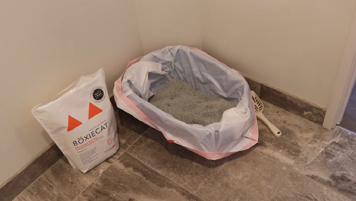 boxiecat extra strength