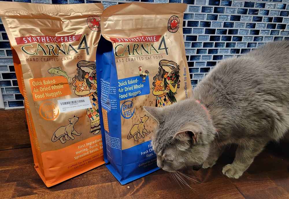 Carna4 Featured Image