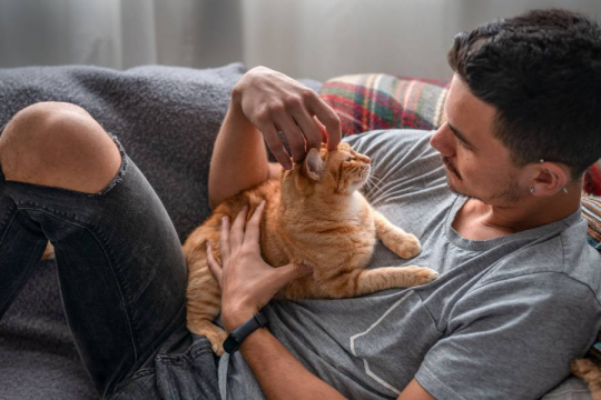 The 12 Signs of an Extremely Happy Cat