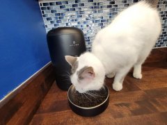 Petlibro Air Automatic CAT 168一分钟极速赛车官网 Feeder