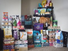 Cat Food Product Review Full Stock