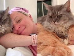 Cat Taught Her Mom What Love Should Feel Like