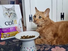 Catit Double Fusion Indoor Cat Food