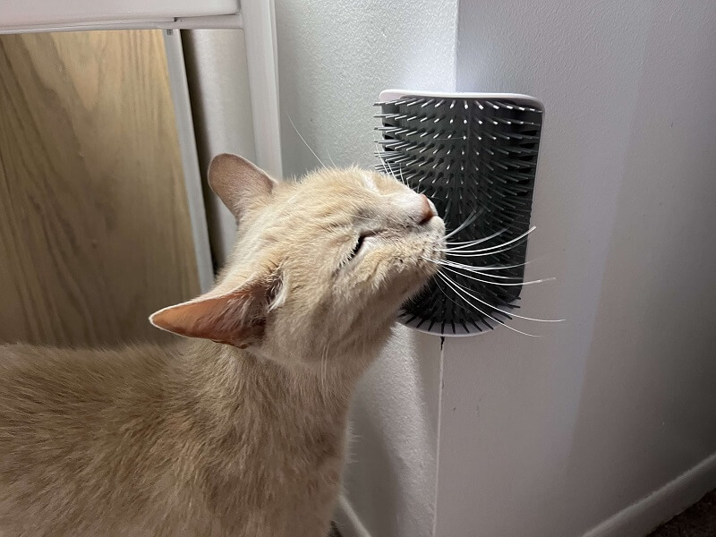 Catit Senses 2.0 Self Groomer Cat Toy