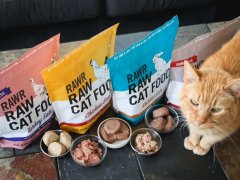 Eat Like a Lion (RAWR) Cat Food
