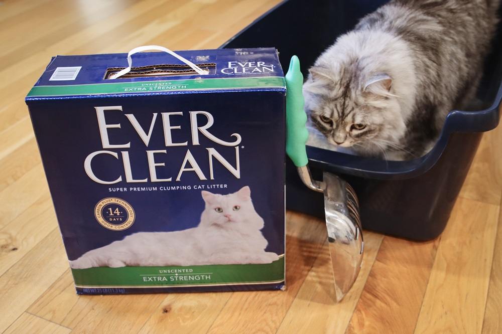 Ever Clean Unscented Extra Strength Super Premium Clumping Cat Litter-15