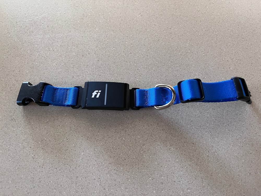 Fi Series 3 Smart Collar