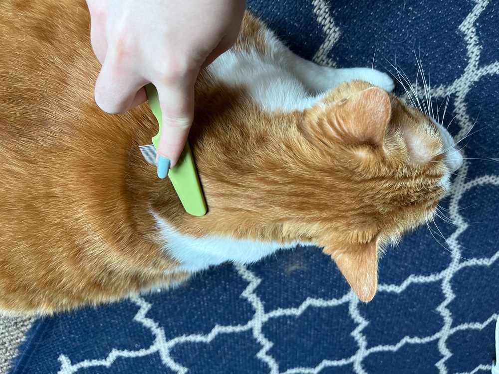Safari Flea Comb for Cats