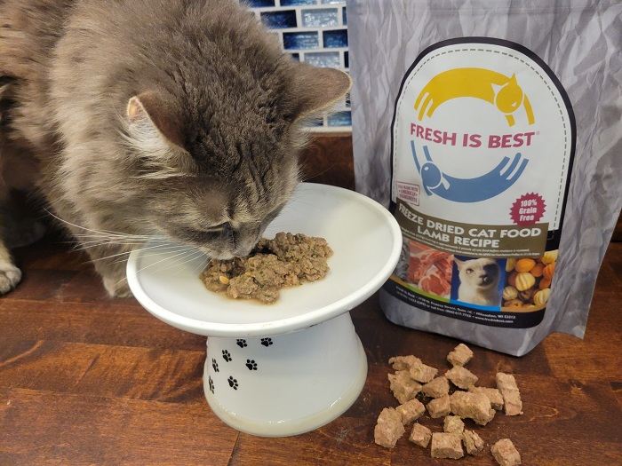 Fresh is Best Freeze-Dried Lamb Cat Food