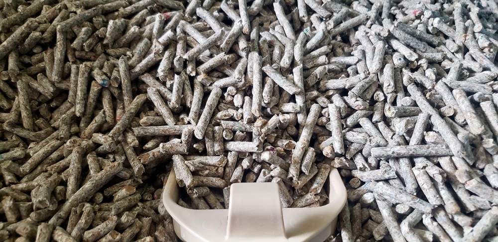 ​​Fresh News Unscented Non-Clumping Paper Cat Litter