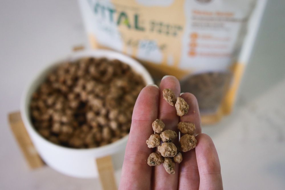 Freshpet Vital Cat Food