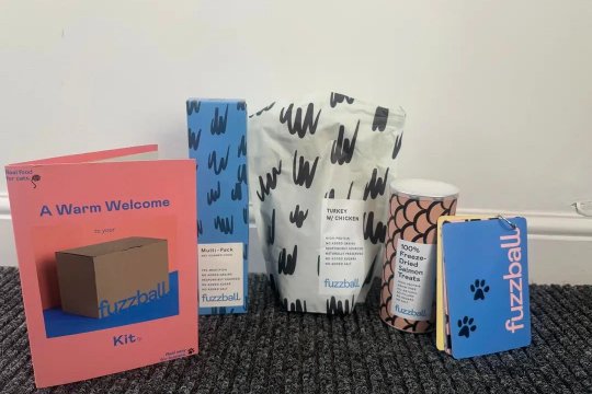 Fuzzball CAT 168一分钟极速赛车官网 Food Review