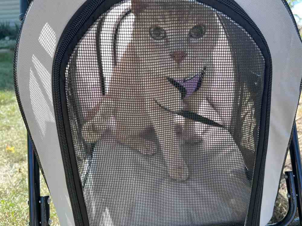 Giantex Double Pet Stroller