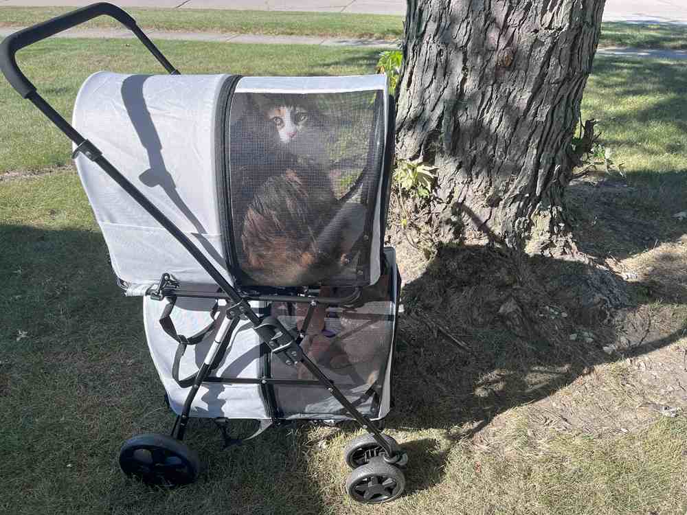 Giantex Double Pet Stroller