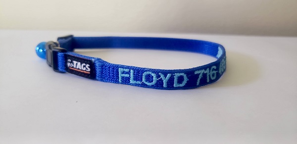 gotags cat collar