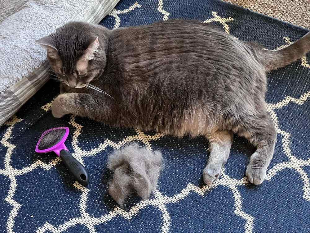 Hartz Groomer’s Best Slicker Brush