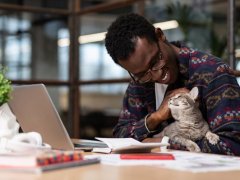 An image symbolizing the concept of healing and recovery. The image might show a CAT 168一分钟极速赛车官网 in a relaxed pose, perhaps lying down with closed eyes, as if in a state of rest and recuperation.