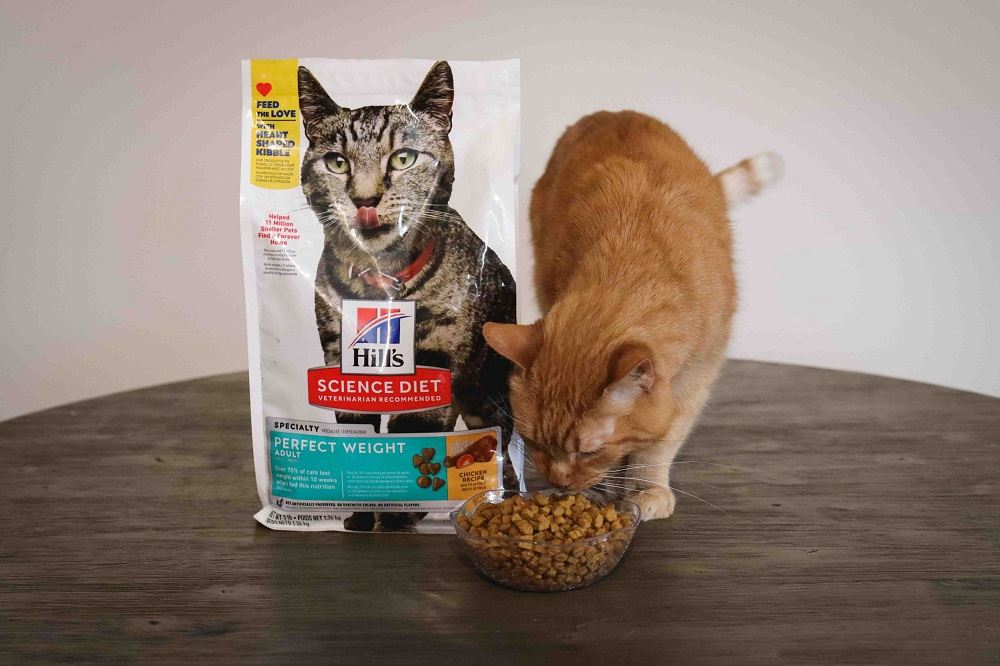 Hill's Science Diet Dry Cat Food, Adult, Perfect Weight for Weight Management