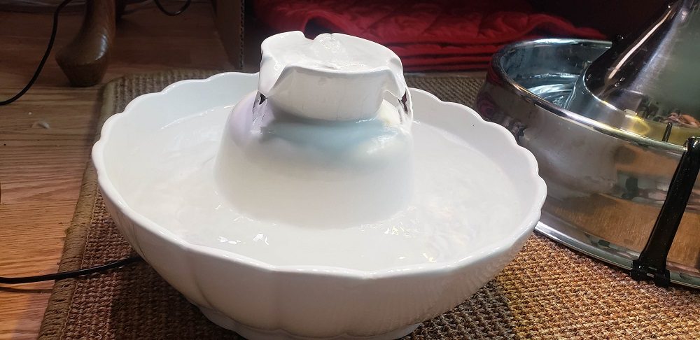 iPettie Tritone Pet Drinking Fountain