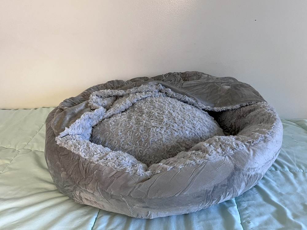 joejoy cat bed 1