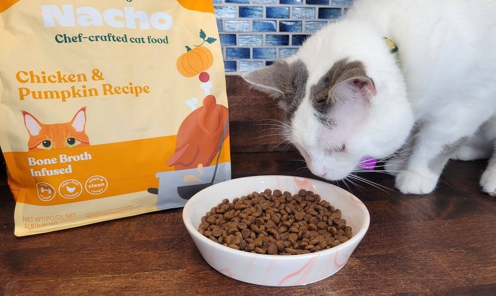 Made by Nacho Bone Broth Infused Cage-Free Chicken &  Pumpkin Recipe Dry Cat Food