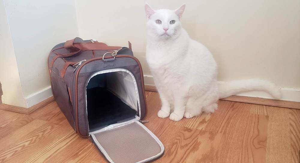 Mr. Peanut’s Airline-Approved Soft-Sided Pet Carrier