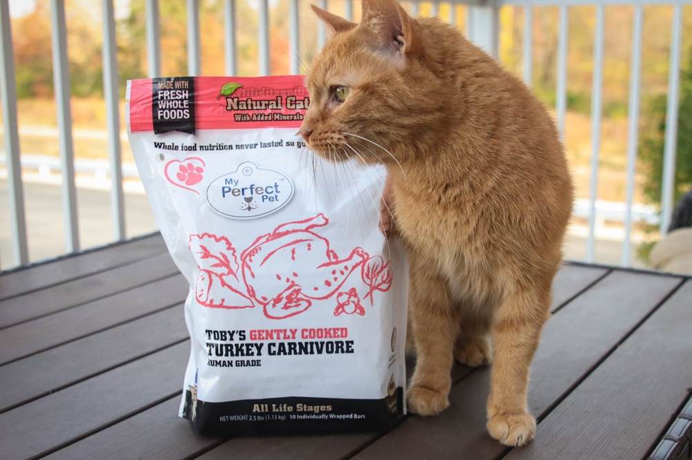 My Perfect Pet Toby's Turkey Low Phosphorus Chicken Fresh Frozen Wet Cat Food