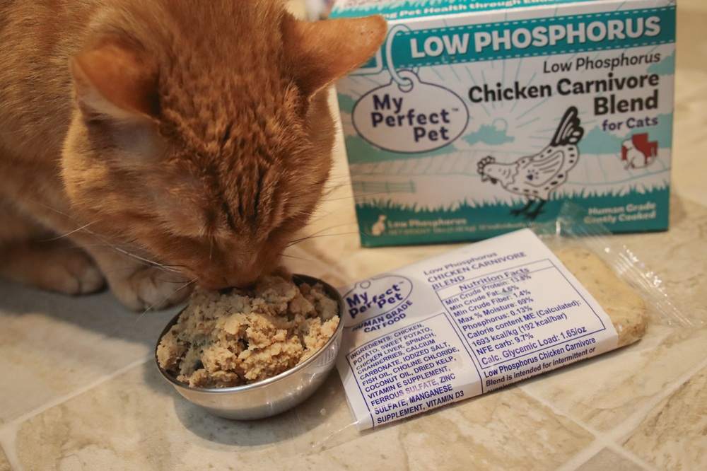 My Perfect Pet Toby's Turkey Low Phosphorus Chicken Fresh Frozen Wet Cat Food