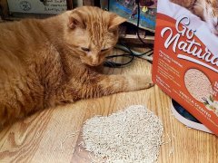 Catit’s Go Natural Pea Husk Litter.