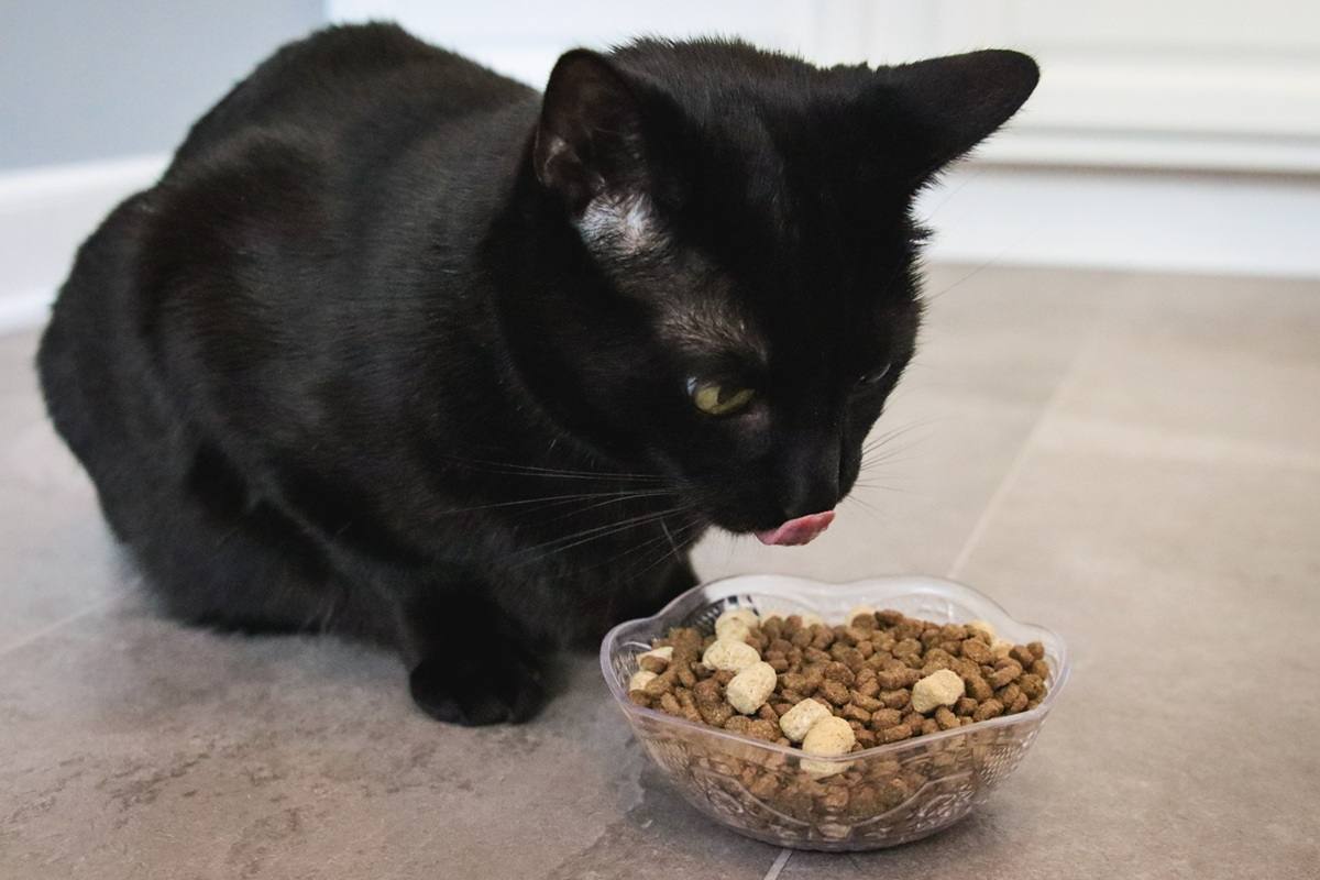 Open Farm Rawmix Open Prairie Recipe