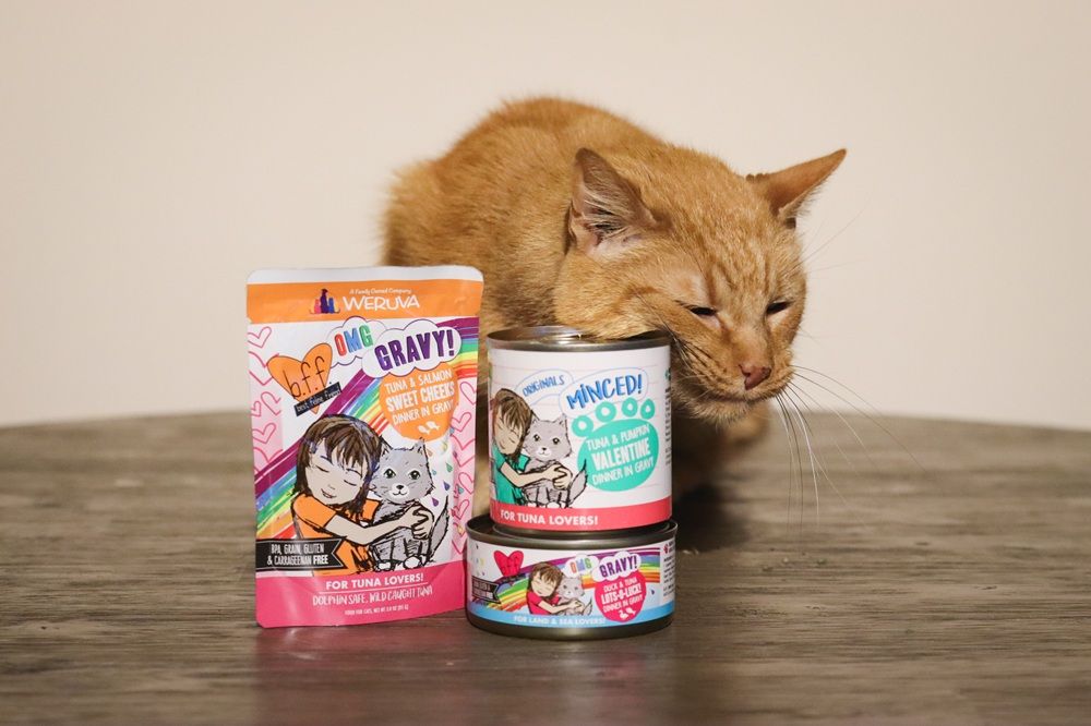 Orange Short Hair Tabby BFF Wet Canned Cat Food