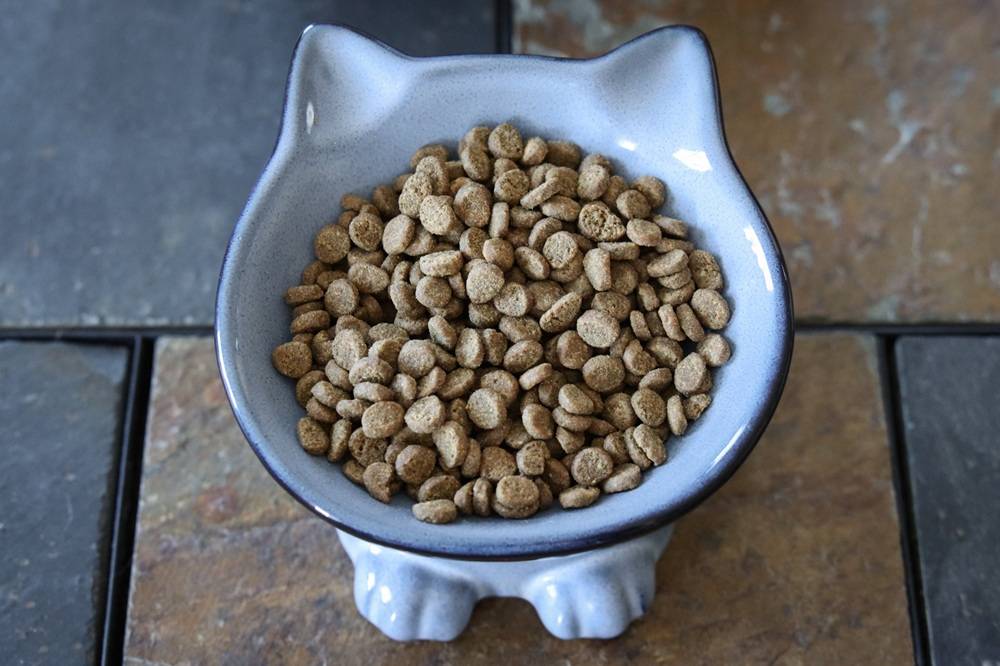 Orijen Fit & Trim Dry Kibble Cat Food
