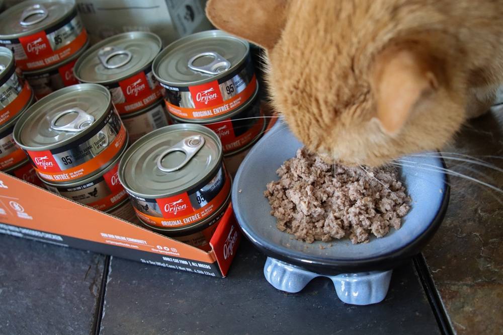 Orijen Original Entree In Bone Broth Chicken Wet Canned Cat Food