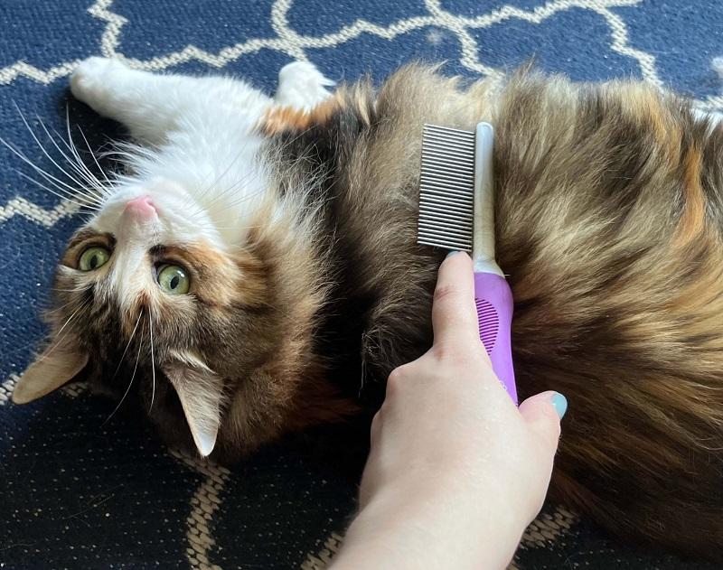 POODLIE Double-Sided Pet Comb