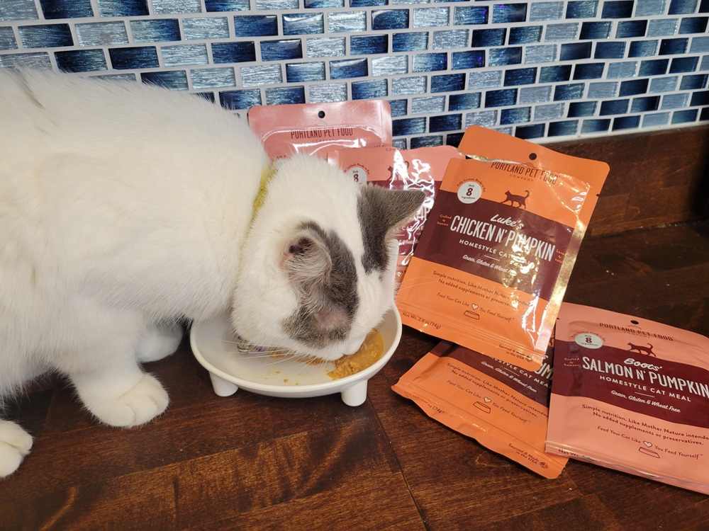 Portland Pet Food Company Cat Food Testing